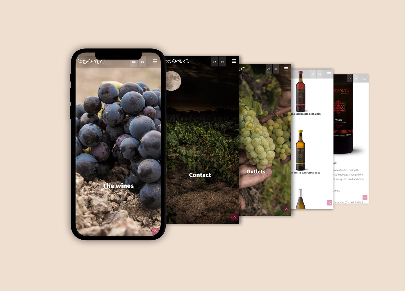 Sokvist - Còsmic Vinyaters