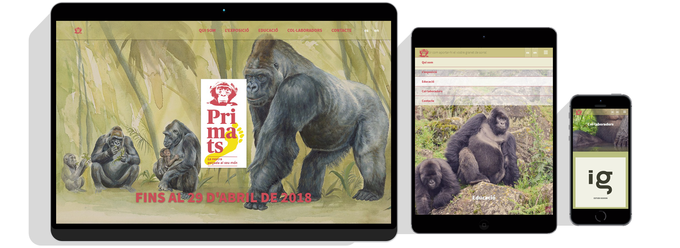 Sokvist - Expoprimats landingpage