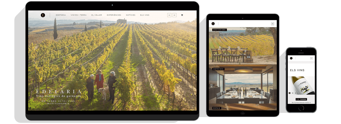 Edetària - Sokvist, web & marketing